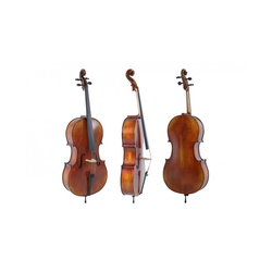 Violončelo 4/4 Maestro2 karbonski lok KOMPLET Gewa GS402.081.112.1