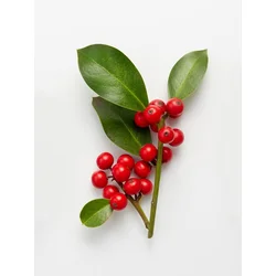 Wallity Zidna dekoracija BC7406288863, 24 x 29 cm, Šarena