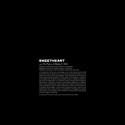 Sweetheart - The Process Of Making Us Well (LP)