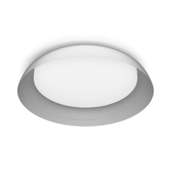 Philips - LED prigušiva plafonska svetiljka FLETA LED/10W/230V 4000K prozirna