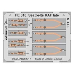 1:48 Seatbelts RAF Late - Steel