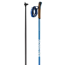 Salomon Palice S/Max Carbon Click