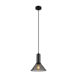 Globo 15648H1 - Visilica na sajli JEDD 1xE27/60W/230V crna