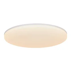 VIC 29 2100LM 3000K PLAFONJERA BIJELA LED IP21