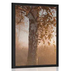 Plakat megleni jesenski gozd - 30x45 black