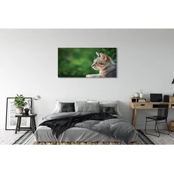 tulup.si Slika na platnu Išče mačka 120x60 cm