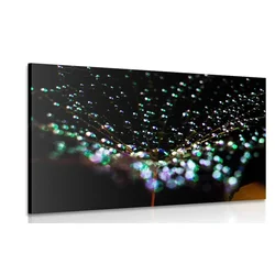 Slika kapljice vode na regratovi lučki - 90x60