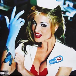 Blink-182 Enema Of The State (Vinyl LP)