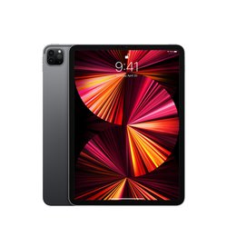 Apple iPad Pro 11, tablični računalnik, 256 GB, Wi-Fi, Cellular, Space Gray, M1, 2021