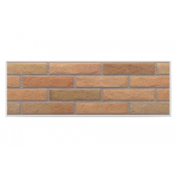 Ascot Fuego 20x60