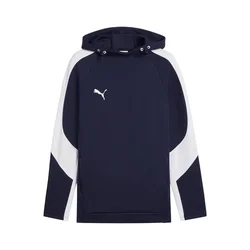 PUMA Športna majica TeamEvostripe modra/bela