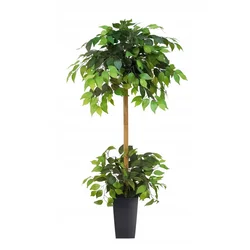 Umetno drevo fikusa Benjamin PREMIUM 150 cm