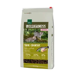 Real Nature | Cat Wilderness Kitten True Country