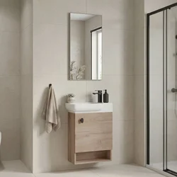 HANAH HOME Kupatilski ormarić sa umivaonikom i ogledalom (2 komada) Begonya 55 063