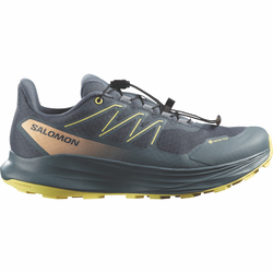 Salomon ALPHARIDE 2 GTX W, ženske patike za trail trčanje, siva L49128600