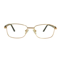 Berkeley Naočare BB Y_MO42 C2