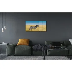 tulup.si Steklena slika Zebra polje 100x50 cm 2 obešalnika