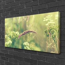 tulup.si Slika na platnu Wild rastline narava 100x50 cm