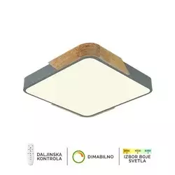 Plafonska lampa F2812-20C SV + DW