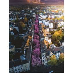 Ravensburger Puzzle Cvetoči Bonn 1500 kosov