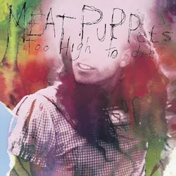 Meat Puppets - Too High To Die (LP)