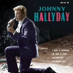 Johnny Hallyday - I Got A Woman (LP)