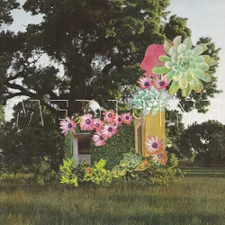Medicine - Home Everywhere (LP)