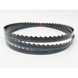 Tračni listi za les 3670/19x0,8/2-Hook Dudrsaw