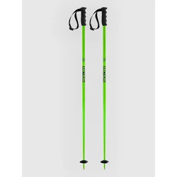 Faction Prodigy Ski Poles green