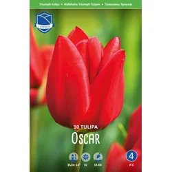 Čebulice tulipan Oscar, 10 kosov