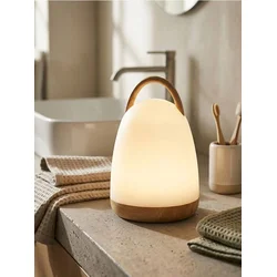 Sinsay - Bežična LED noćna lampa sa ručkom - belo