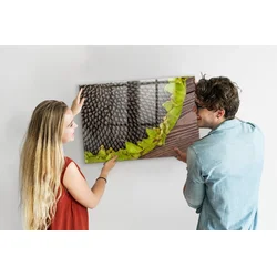 tulup.si Stenska magnetna tabla Sončnica 90x60 cm