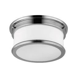 Feiss FE-PAYNE-F-BATH - Plafonsko svetlo za kupatilo PAYNE 2xE27/60W/230V IP44