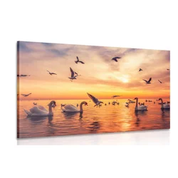 Slika labodi na morju - 90x60