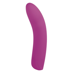 VIBRATOR NMC COZY POINTER