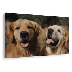 Slika veseli pasji obrazi - 30x20