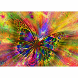 Puzzle Colorful Butterfly