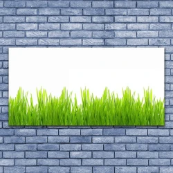 tulup.si Slika na platnu Grass nature rastlin 125x50 cm