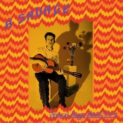 Andrew Savage - Several Songs About Fire (LP)