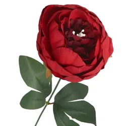 TOP GIFT POTONIKA, POSAMEZNA VELIKA VEJA POTONIKE, KOT REALNA
