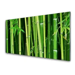 tulup.si Slika na akrilnem steklu Bamboo bamboo forest narava 140x70 cm 4 obešalnika