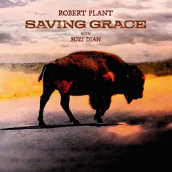 Robert Plant - Saving Grace (Limited Edition) (Fruit Punch Coloured) (140 g) (LP)