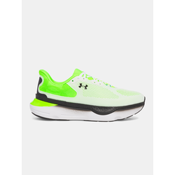 Mens shoes Under Armour UA Infinite Pro 2 - Mens