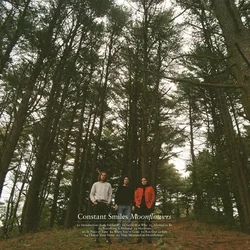Constant Smiles - Moonflowers (LP)