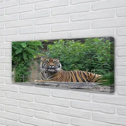 tulup.si Slika na platnu Tiger woods 140x70 cm