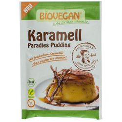 BIOVEGAN puding karamela bio, brez glutena in laktoze, 43g