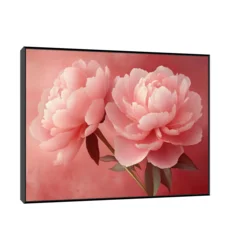 Canvas Slika na platnu Roze božuri 120x90cm, Sa ramom, Crni