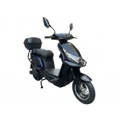 Električni bicikl 10 STORM (250W 60V/30Ah) LITHIUM crna
