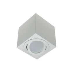 Spot svetlo FEBE 1xGU10/30W/230V belo