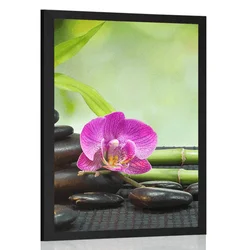 Plakat Feng Shui tihožitje - 40x60 silver